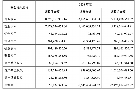 东莞工资清欠服务